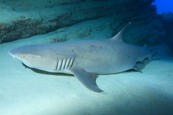 4E7A1777.JPG?ph=ffa8d741bc