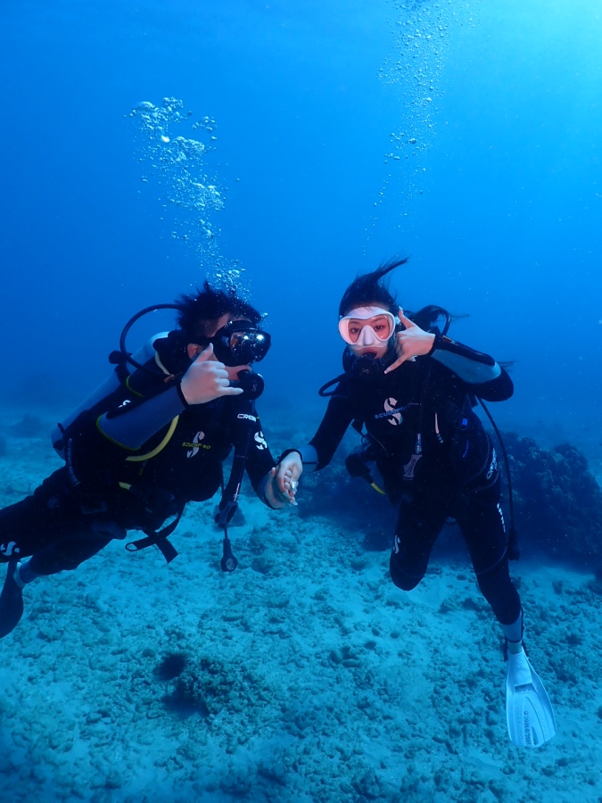 今日は透明度がめっちゃ綺麗でした