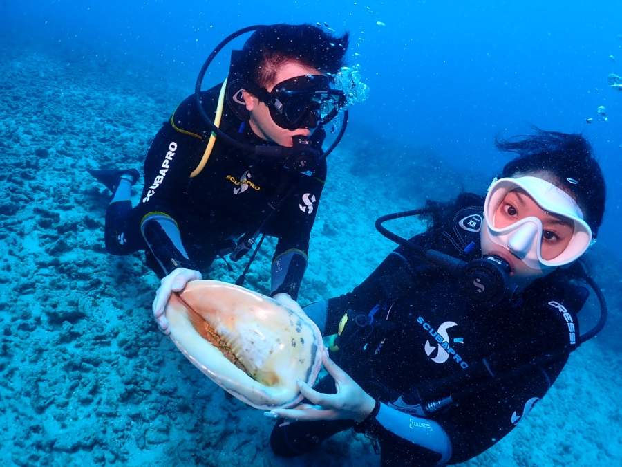 ハワイの海にはこんな大きな貝もいます