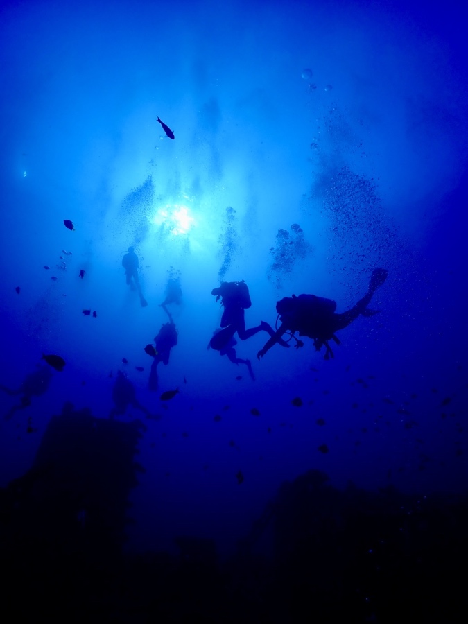 青い光が差し込むハワイの海とダイバーのシルエット