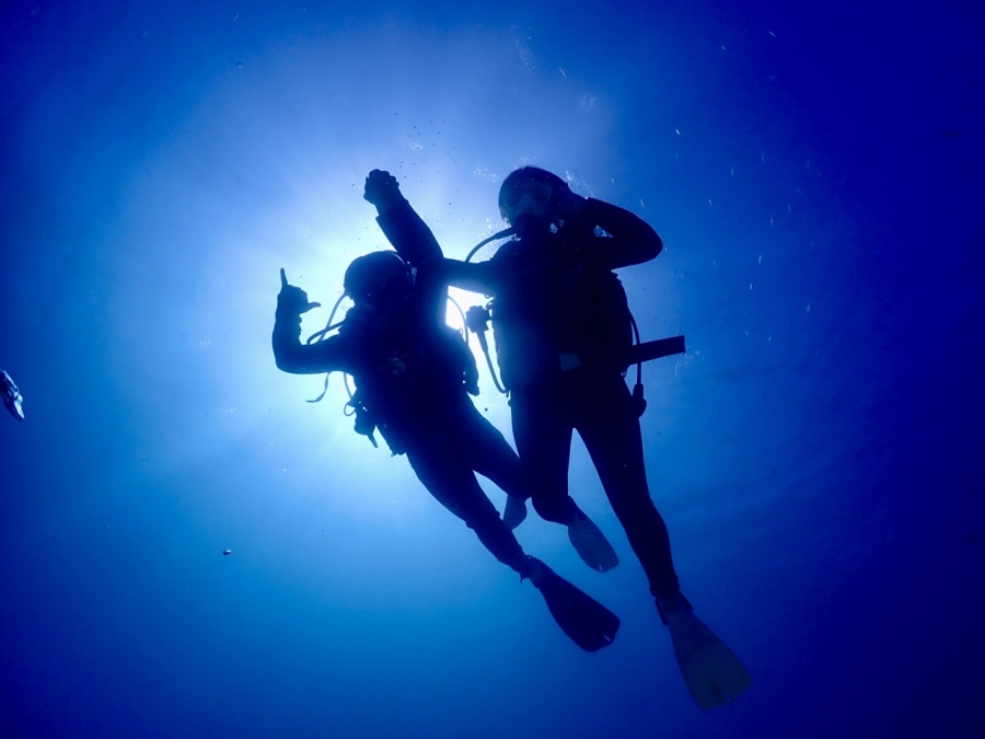 太陽の光をバックにシルエット撮影。ドラマチックな一枚をプレゼント！