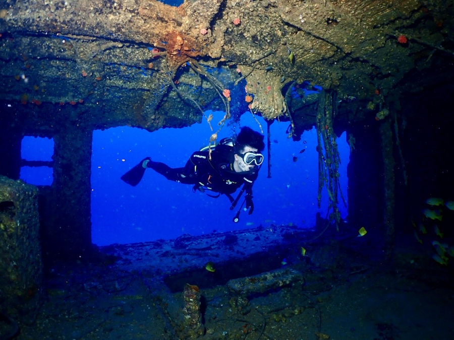 船内のフレーム越しに見るハワイアンブルーは、沈没船ダイビングならではの楽しみです。