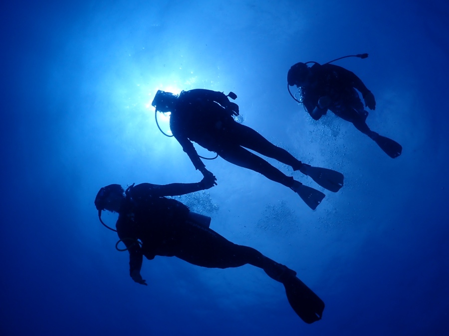 芸術的な「神秘のシルエット写真」