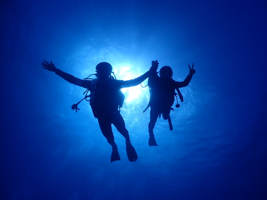 太陽をバックに！