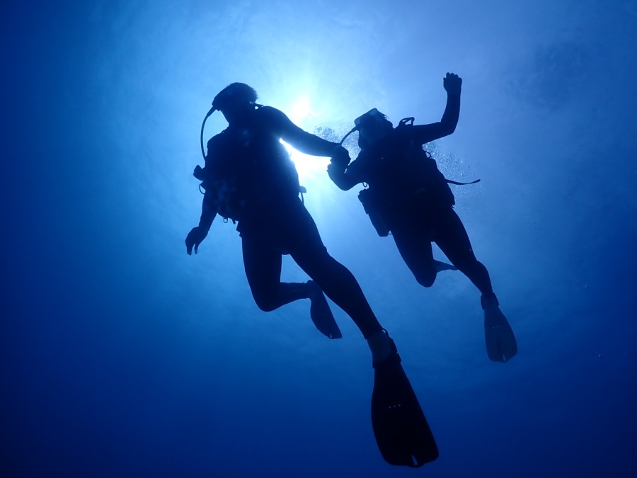 ハワイ・ワイキキ沖で手をつなぐ新婚旅行のカップルダイバー。シルエットが美しい。