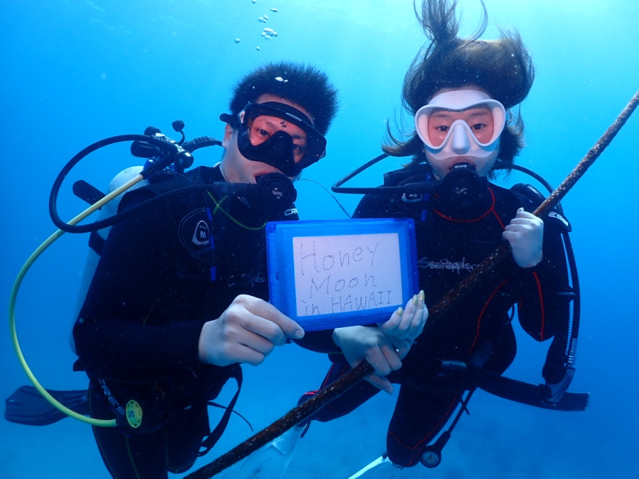 ハワイでの新婚旅行の水中写真。メッセージボード「Honey Moon in HAWAII」を持っています