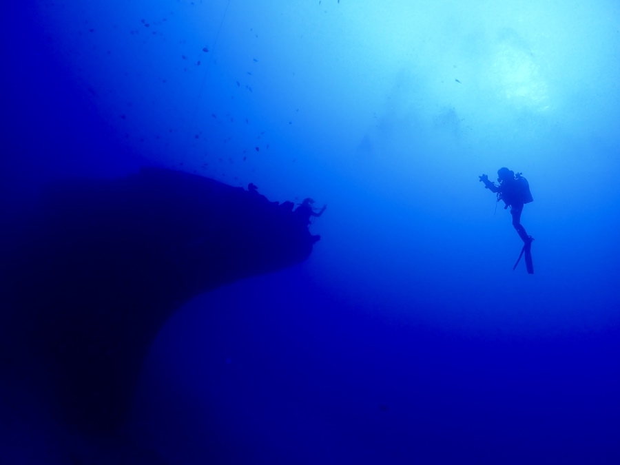 ハワイの沈船「シータイガー」の内部を探検し、シャカサインをするリピーターダイバー