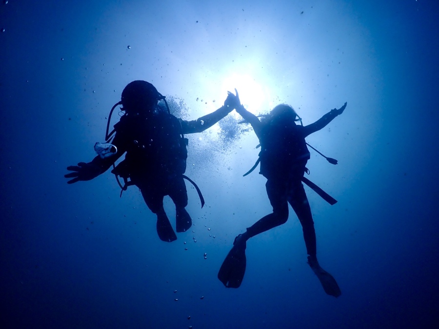 ハワイの海中から見上げる太陽の光と、手をつなぐ親子ダイバーの美しいシルエット