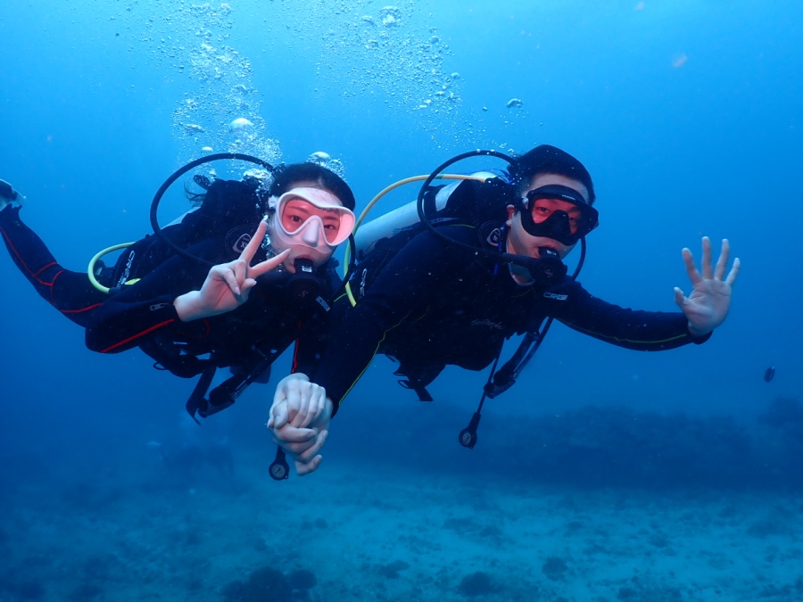 ハワイ・ワイキキ沖の海で手をつなぎ、仲良くポーズをとる新婚カップルのダイバー