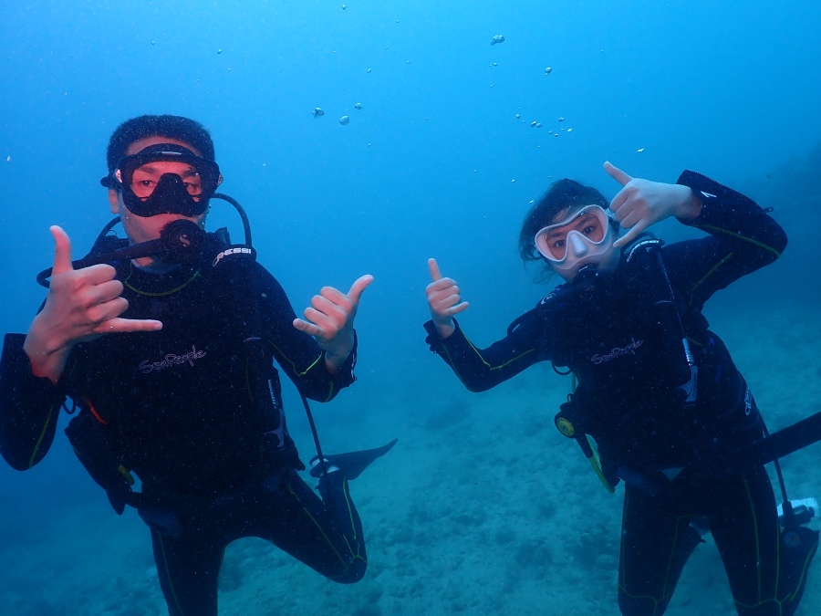 ハワイの海でプライベートダイビングを満喫し、シャカサインをするハネムーンのお客様