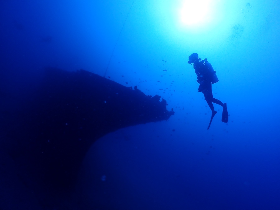ハワイの海で巨大な沈船シータイガーに向かって潜降するダイバーのシルエット