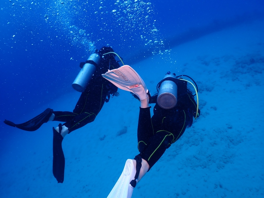 ハワイの青い海を並んで泳ぐ体験ダイビングのお客様の後ろ姿