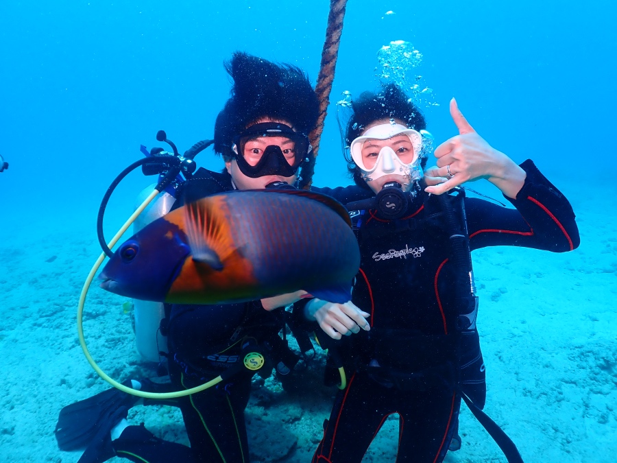 ハワイの海で体験ダイビングに挑戦し、カラフルな魚と一緒にシャカサインをする新婚カップル