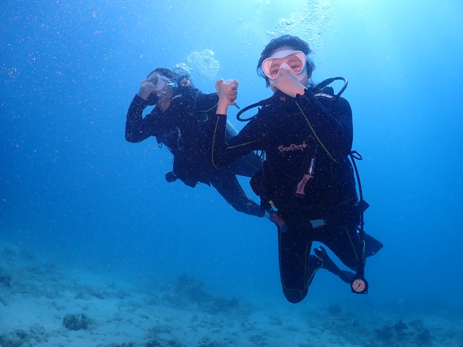 ハワイの青い海をスムーズに泳ぐ親子の体験ダイバー