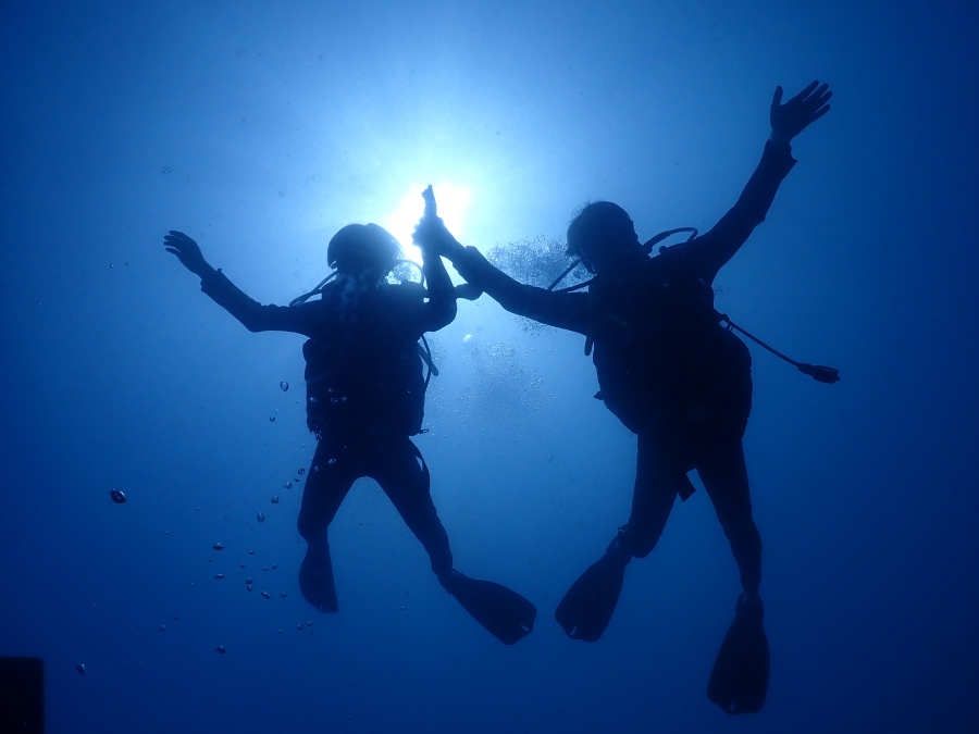 ハワイの眩しい太陽光に向かってポーズをとる親子の水中シルエット写真
