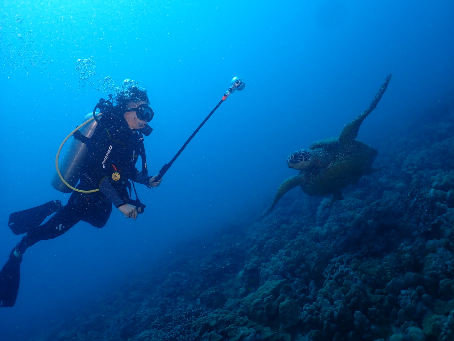 ハワイの海でInsta360カメラを手に前方を泳ぐウミガメを撮影する体験ダイバー
