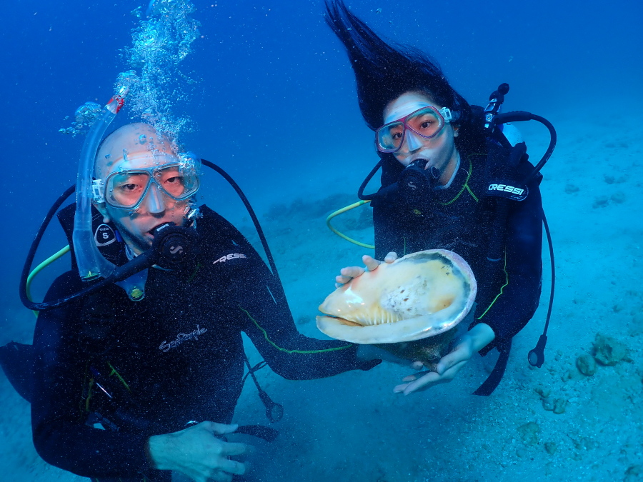 ハワイの海底で顔よりも大きな貝「カイカムリ」を両手で持ち驚いた表情を見せるダイバー